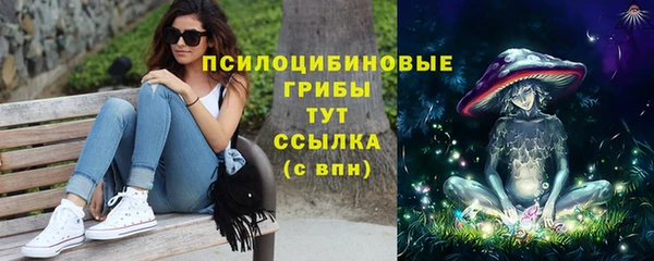 скорость Арсеньев