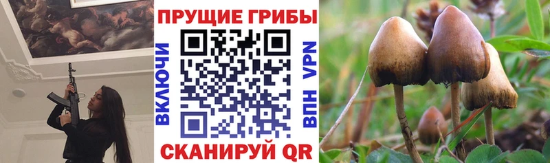 Псилоцибиновые грибы MAGIC MUSHROOMS  Купить где  Шахты 